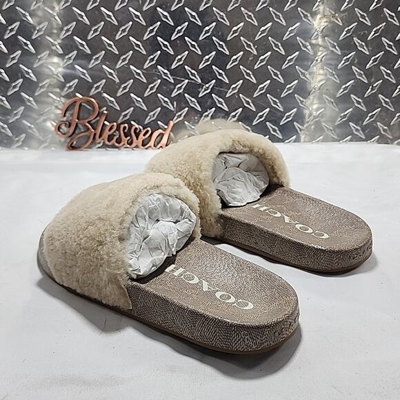 🐨COACH🐨ULLA SHEARLING SLIDE COMFORTABLE COLORWAY IVORY LADIES 8 NWB📦ELEGANT - Picture 13 of 16